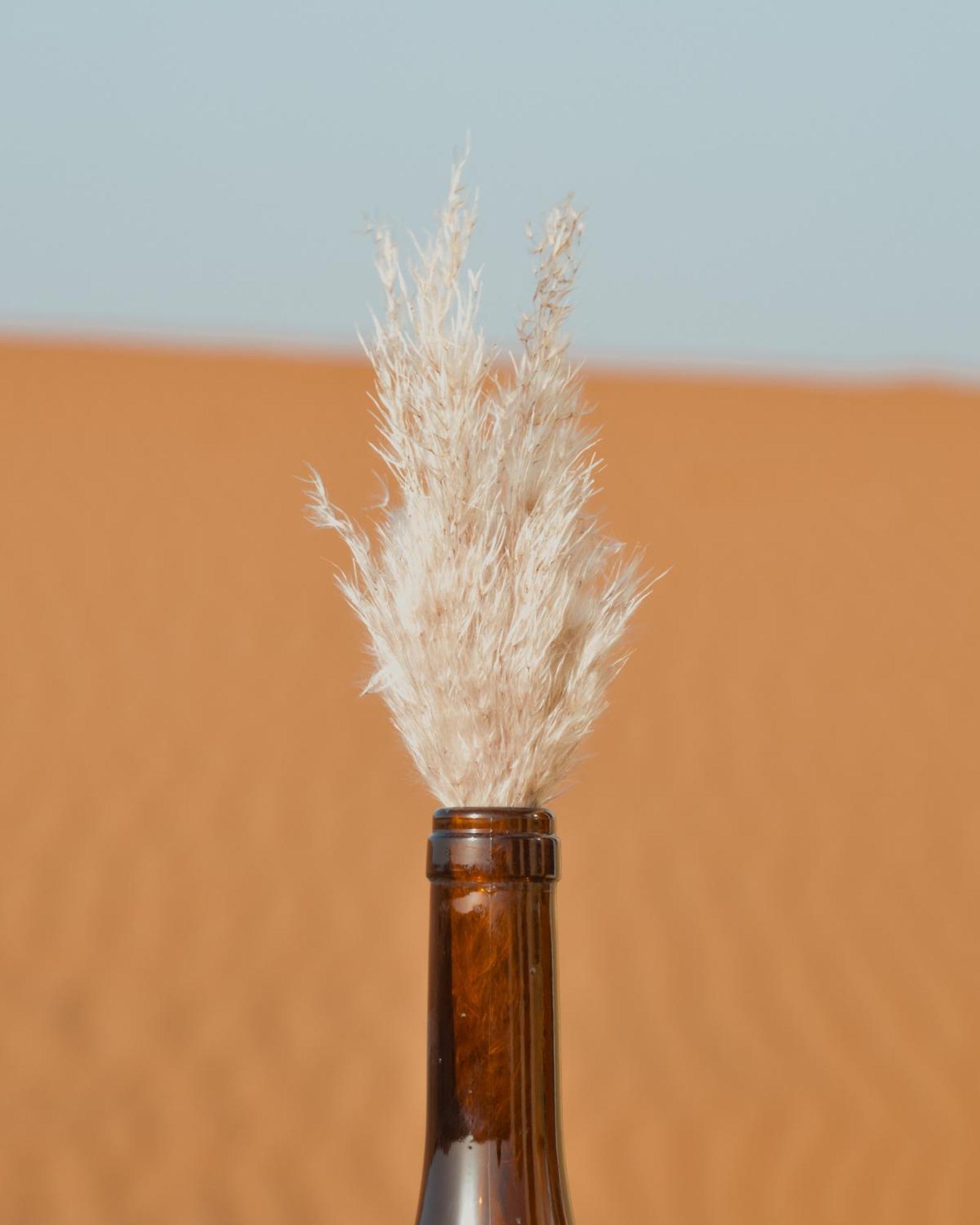 Bohem Camp * Merzouga